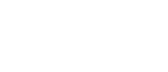 UNION Norsk Næringsmegling Logo